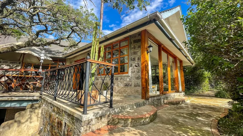 The Treehouse - Image 1