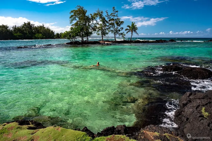 Oceanfront, Friendly Sea Turtles, Epic Snorkeling! - Image 1