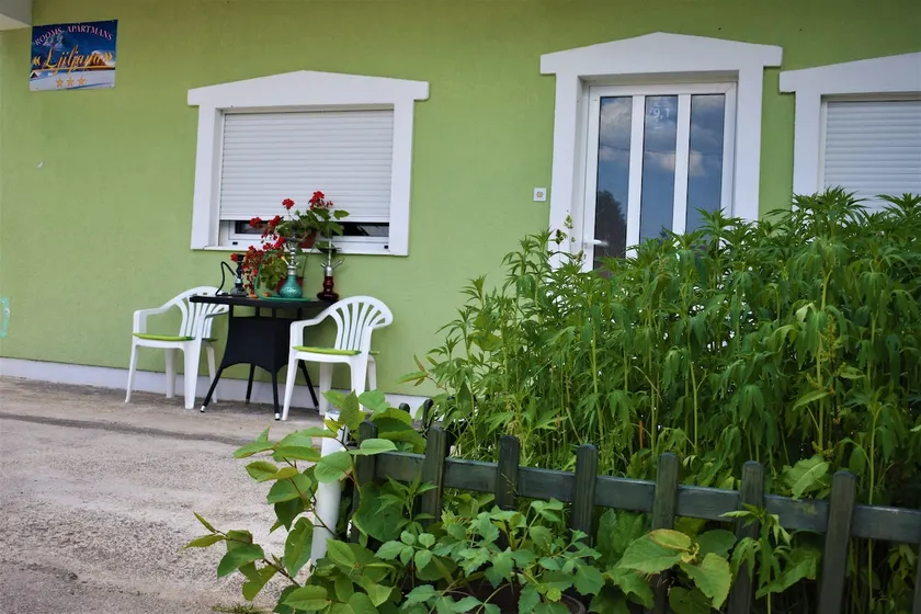 Rooms & Apartment Ljiljana - Image 1