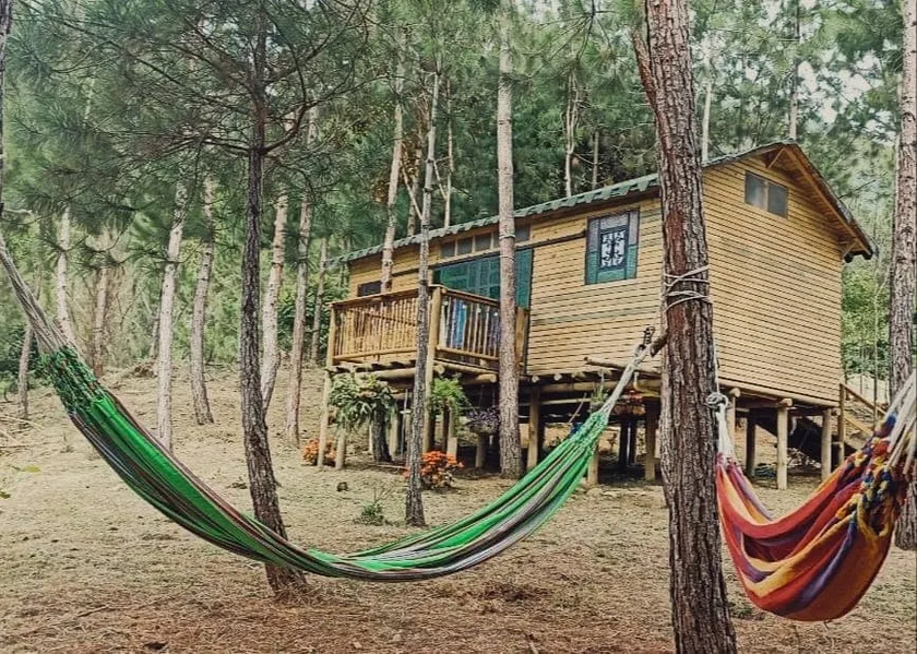 Gulunga country house - Image 1
