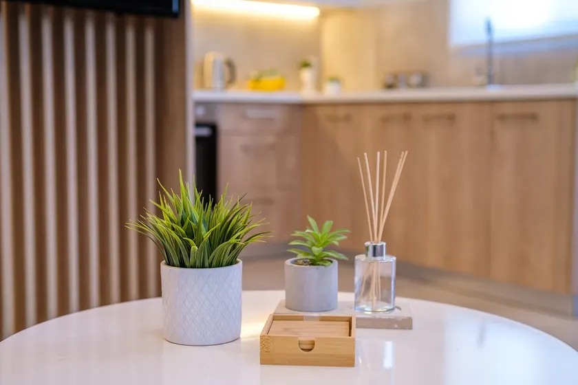 Olivo Home - Image 1