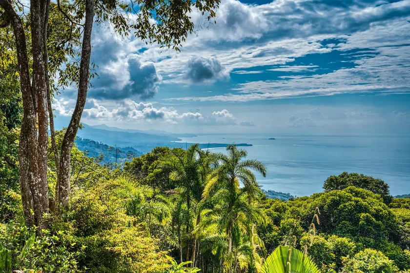 Casa Flores - Stunning ocean view home - Image 1