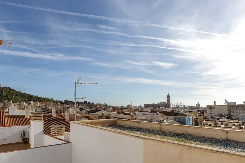 Living4malaga City Views Terrace - Image 1