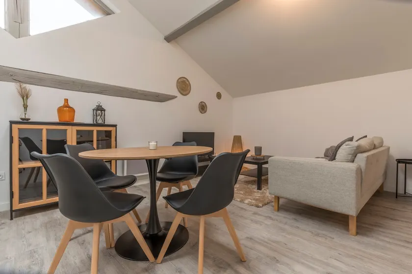 Large Atypical Downtown Apartment - Image 1