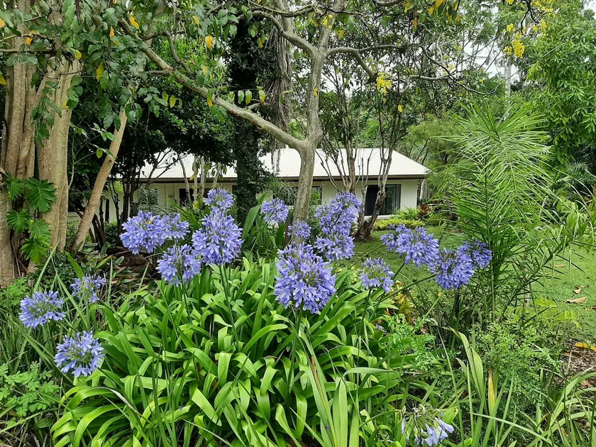 Country Cottage in Imbil (Mary Valley) - Image 1