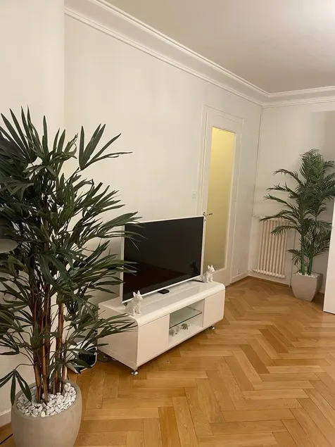 Bright Champel Apartment w/ Large Sunny Terrace - Image 1