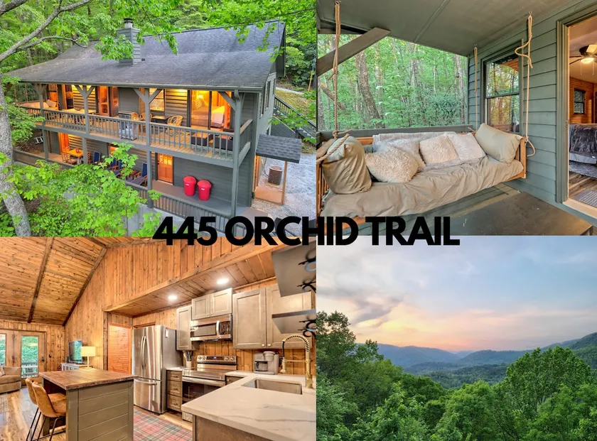 Orchid Trail - Image 1