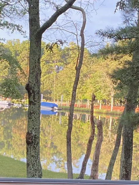 Bradley's Bayou - Image 1