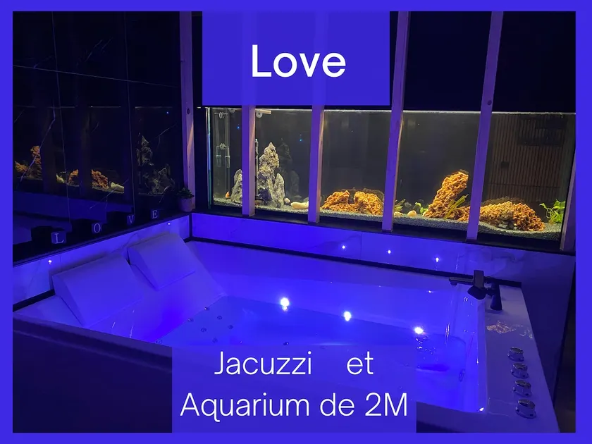 Hot tub / Aquarium / Unique in France - Image 1