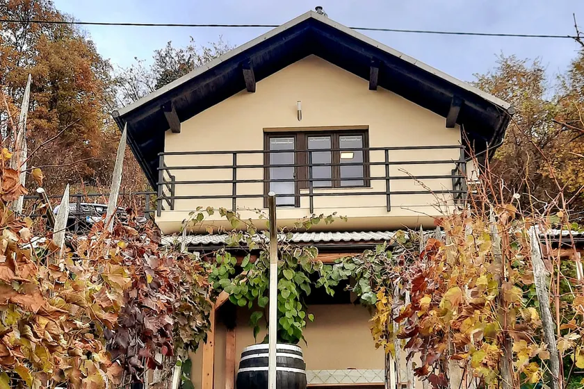 Vineyard cottage Kulovec - Image 1