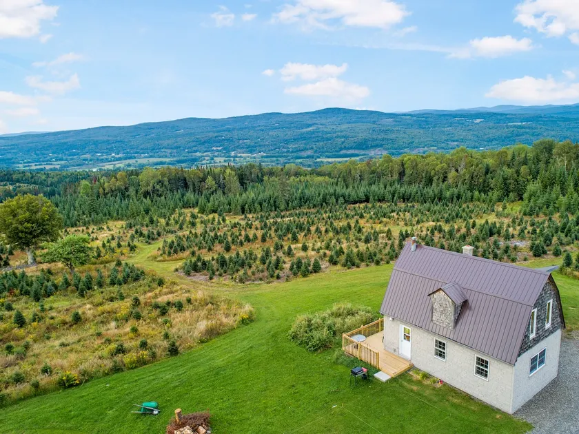 Cheerful open-concept cabin with spectacular view - Image 1