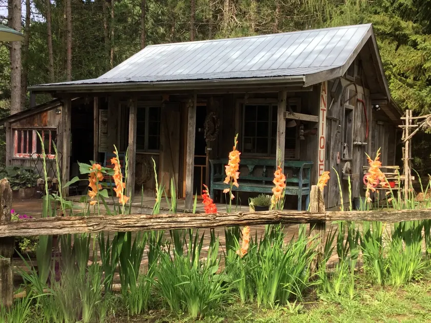 Primitive Past Thyme Cabin For 1 or 2 - Image 1