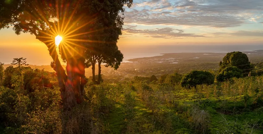 Epic Views above Kona - Image 1