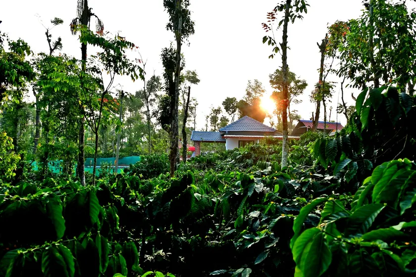 CoffeeCrown Homestay - 1KM to Waterfalls - Image 1