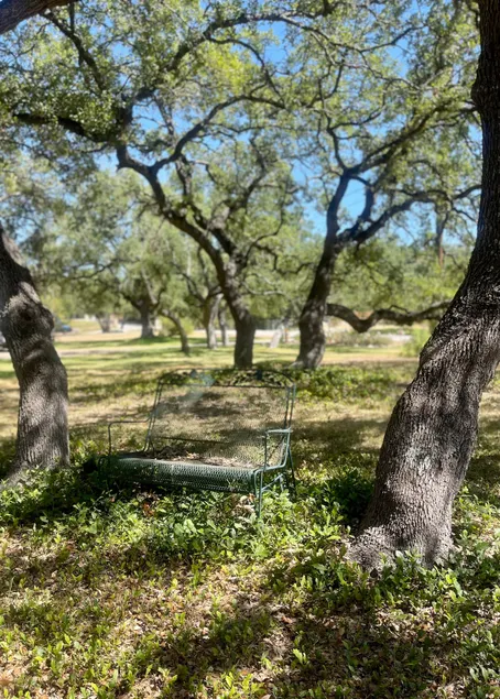 Between 2 Lakes • Walk to 1 • Wooded Escape - Image 1