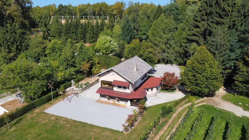 “Parkfield Dragovan” holiday house for 6 +2 persons - Image 1