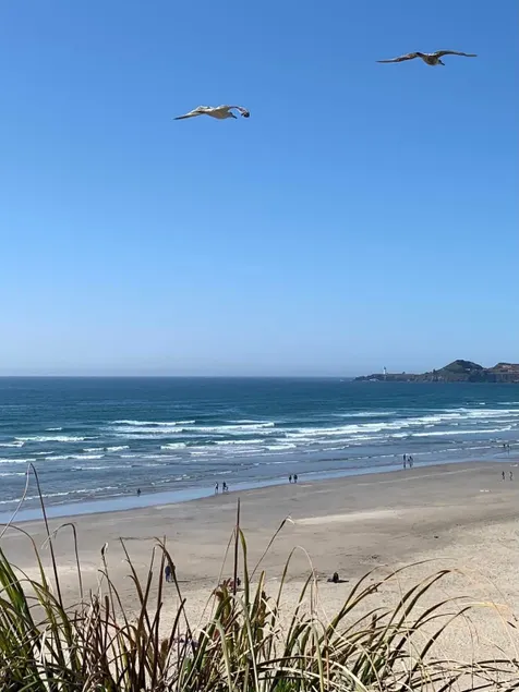 Historic Beach Bungalow in Charming Nye Beach #6 - Image 1