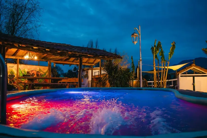 Lovely place with a pool and alpacas - Image 1