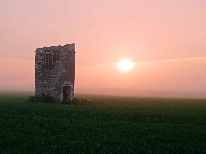 Quiet Charentais house – close to La Rochelle - Image 1