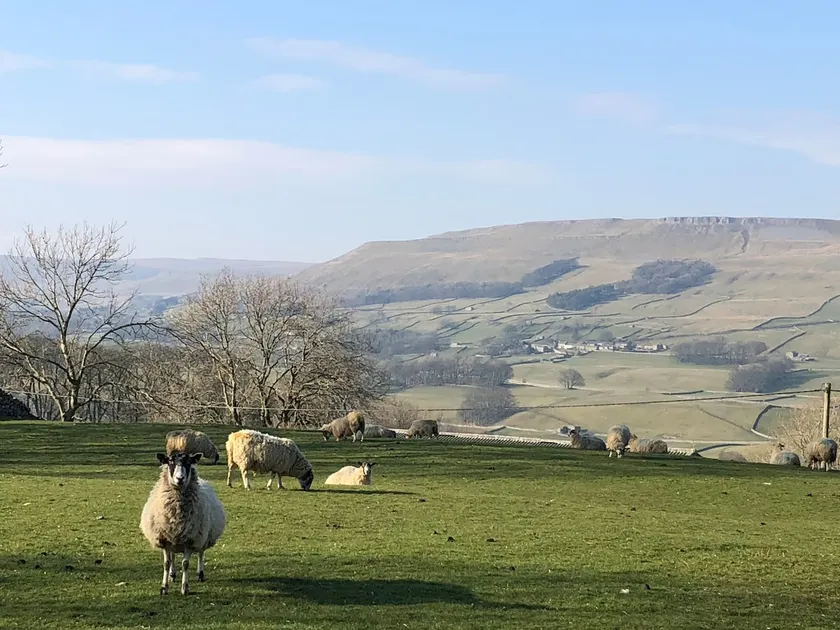 Quarry Cottage in the Yorkshire Dales. Pet free - Image 1