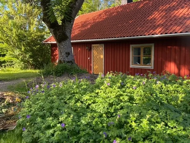 Old, cozy cottage in the countryside, yet close to everything - Image 1