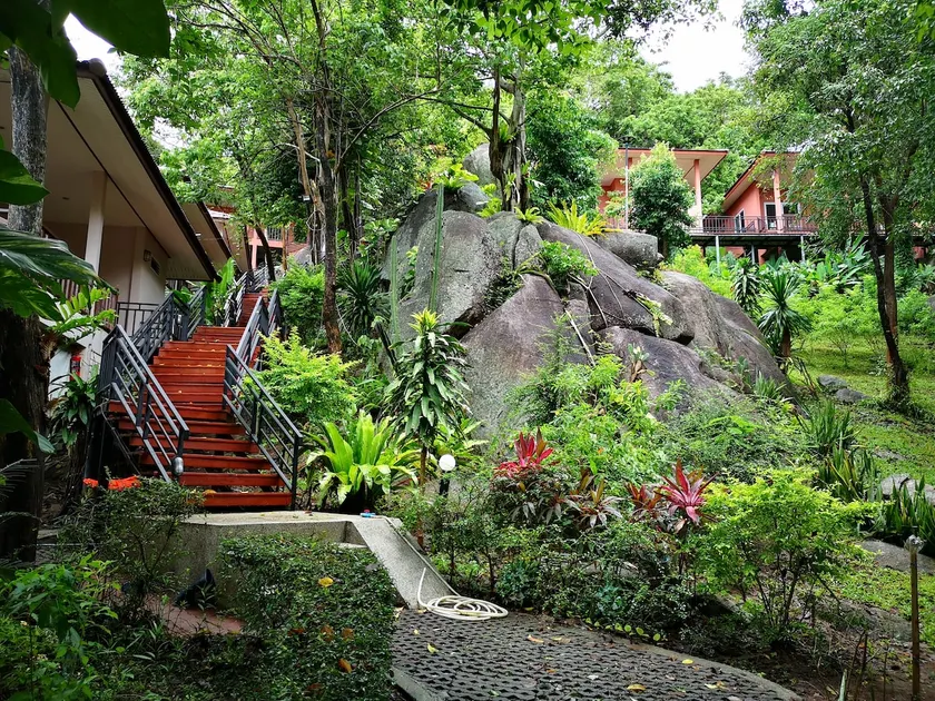 PawPaw Resort -Hill View Jungle Bungalow - Image 1