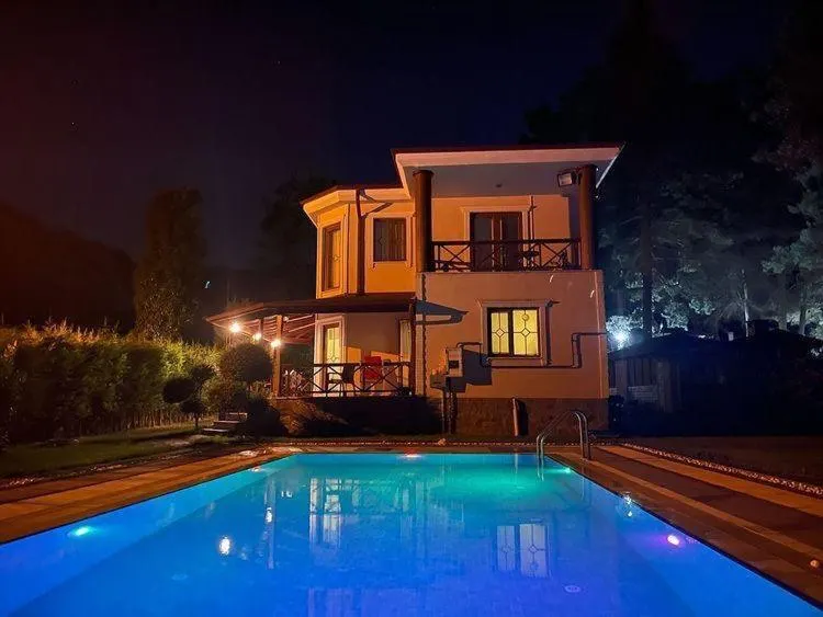 Sapanca, Duplex Detached 4+1 Villa with Pool and Garden - Image 1