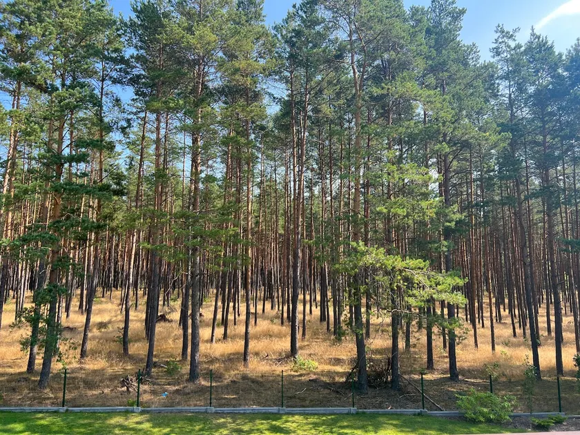 Bliss Forest (Apartment) - Image 1