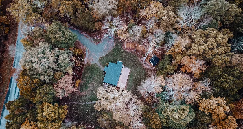 House of Four Seasons - Modern Cabin on 7 acres in Narrowsburg - dog friendly. - Image 1
