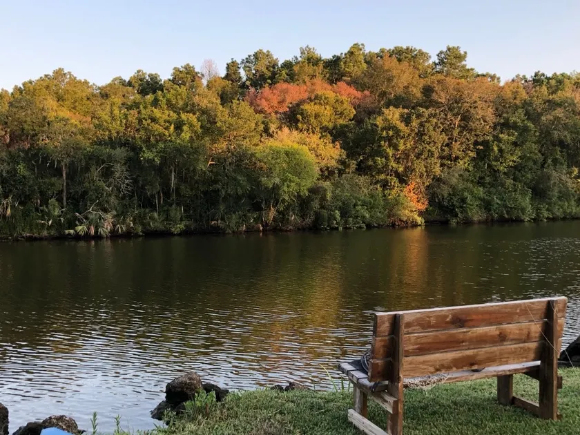 Riverside getaway between Houston & Galveston - Image 1