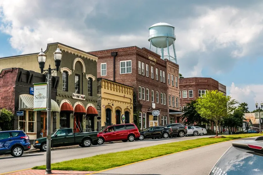Cozy Home - Walkable to Downtown Senoia - Image 1