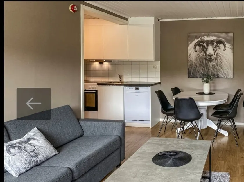Apartment 9 at Bjorligård, with wellness center - Image 1