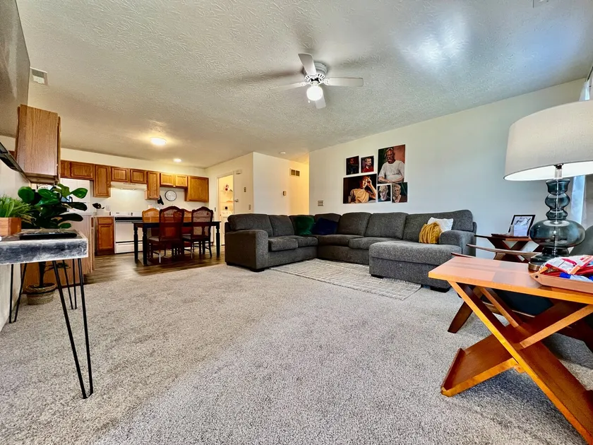 Frank's funky and fashionable furnished home - Image 1