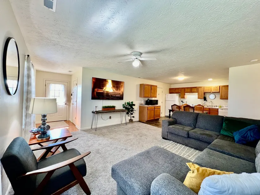 Frank's funky and fashionable furnished home - Image 1