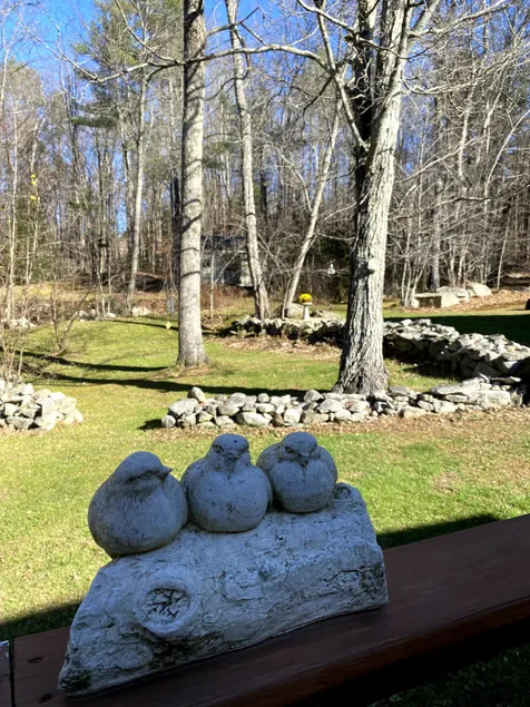 Cozy nest in historic home, close to town - Image 1