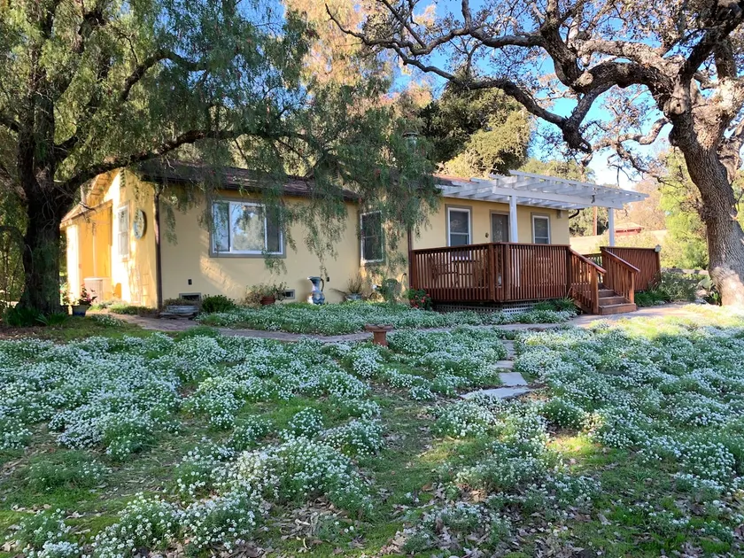 Lovely and cozy, 2 bdrm 1 bath, entire rural house - Image 1