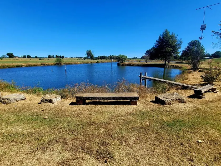 Quiet Cabin on 30 acres, peaceful Country setting. - Image 1
