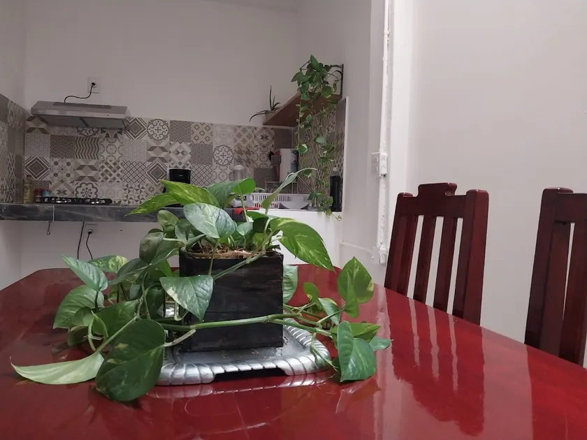 Comfortable apartment in the heart of Tuxtla (second floor) - Image 1