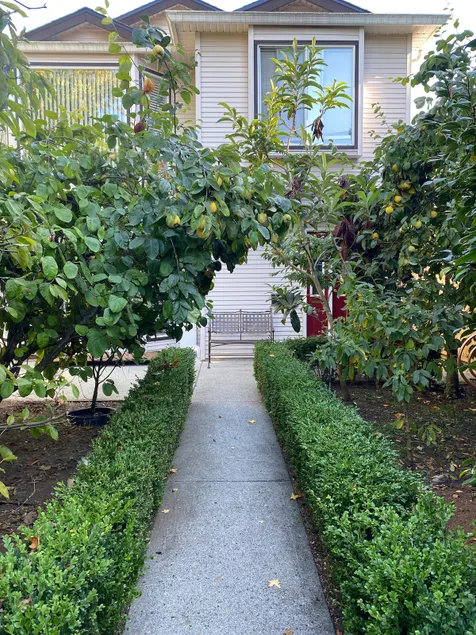 Private 1Br garden suite, close to everything. - Image 1
