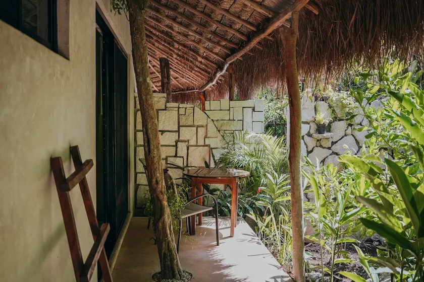 Cabin in the heart of the jungle - Image 1