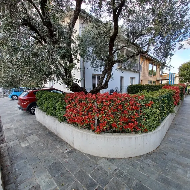 Casa ciliegi 3 - Image 1