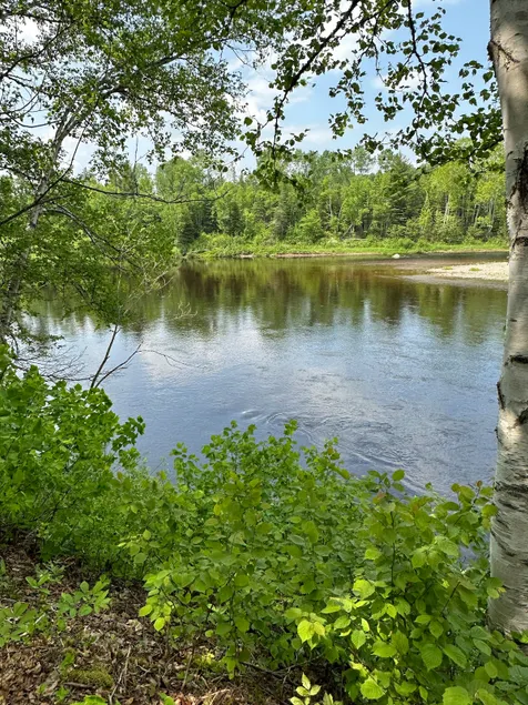 Ruffed Grouse Lodge Renous - Image 1