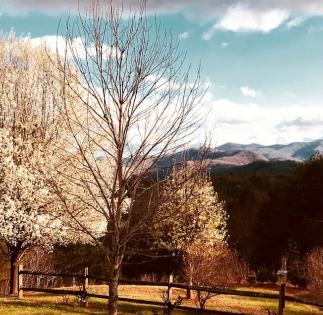 Rita’s Smokey Mountain Lodge - Image 1