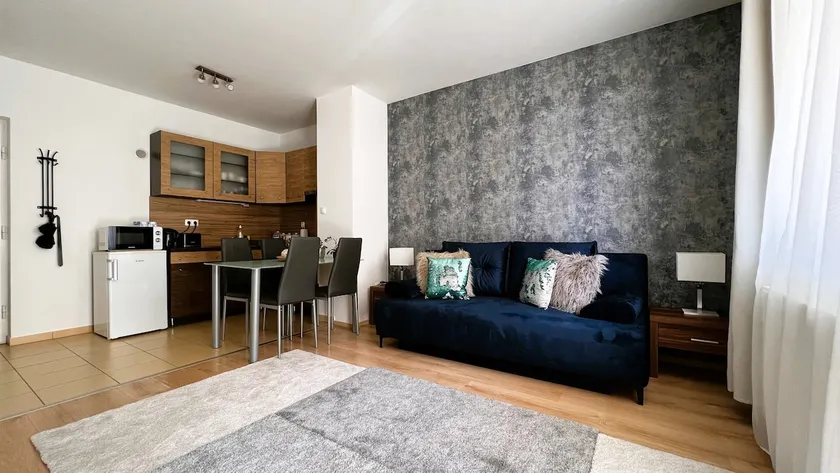 Cosy Living Apartment with balcony - Image 1