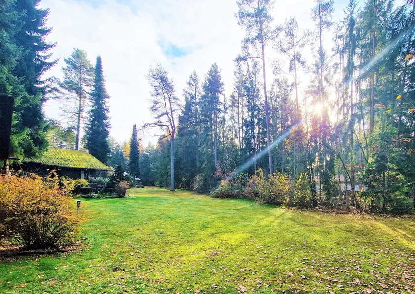 Bungalow directly at the lake, with own boat - Image 1
