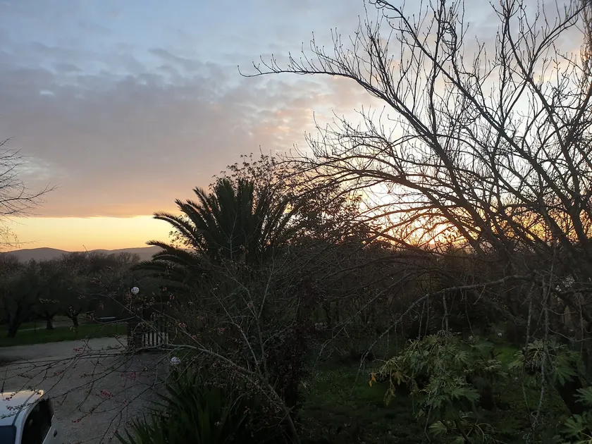 the sunset - Image 1