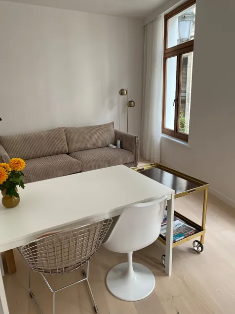 Carolus design apartment in heart of Antwerp - Image 1