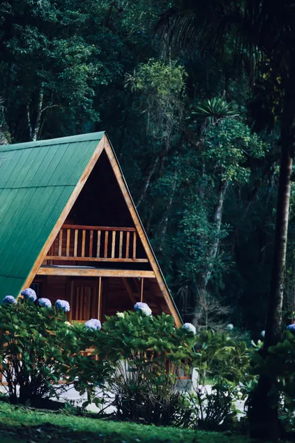 Chalet surrounded by lots of greenery - Image 1