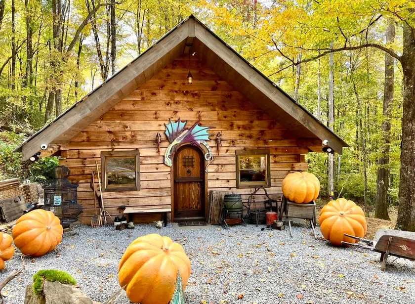 The Caretakers Cabin-Trout Creek, Petting Zoo - Image 1