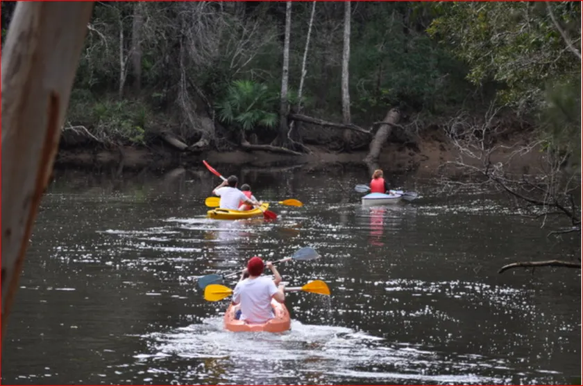 Noosa on the river in the bush with fishing kayaks - Image 1